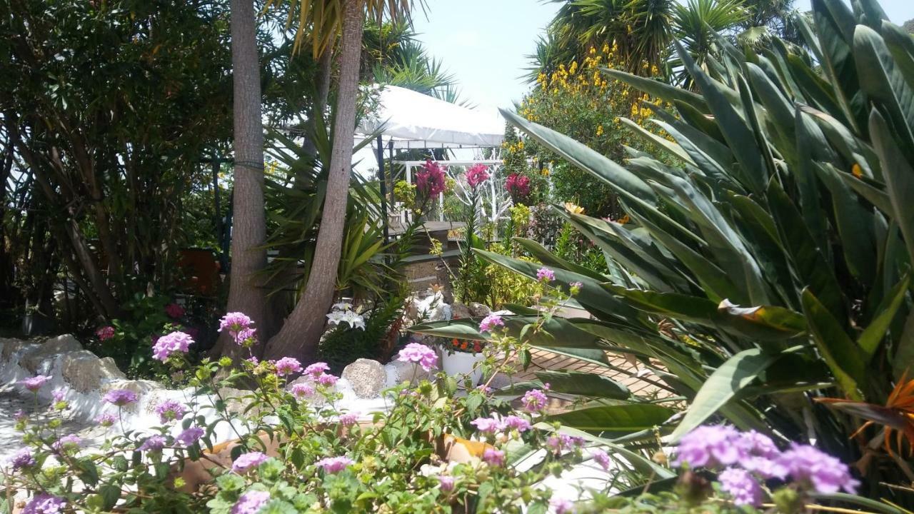 Finca Dulce Maikel Granadilla De Abona Exteriör bild