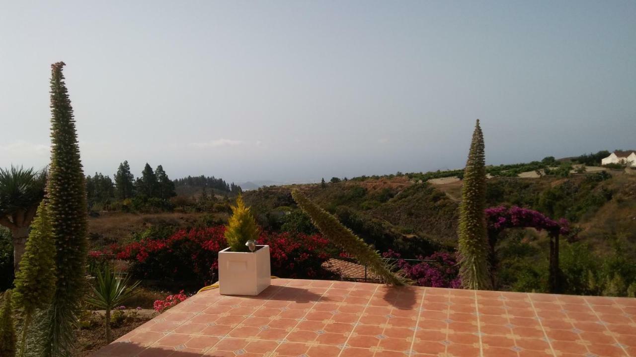Finca Dulce Maikel Granadilla De Abona Exteriör bild