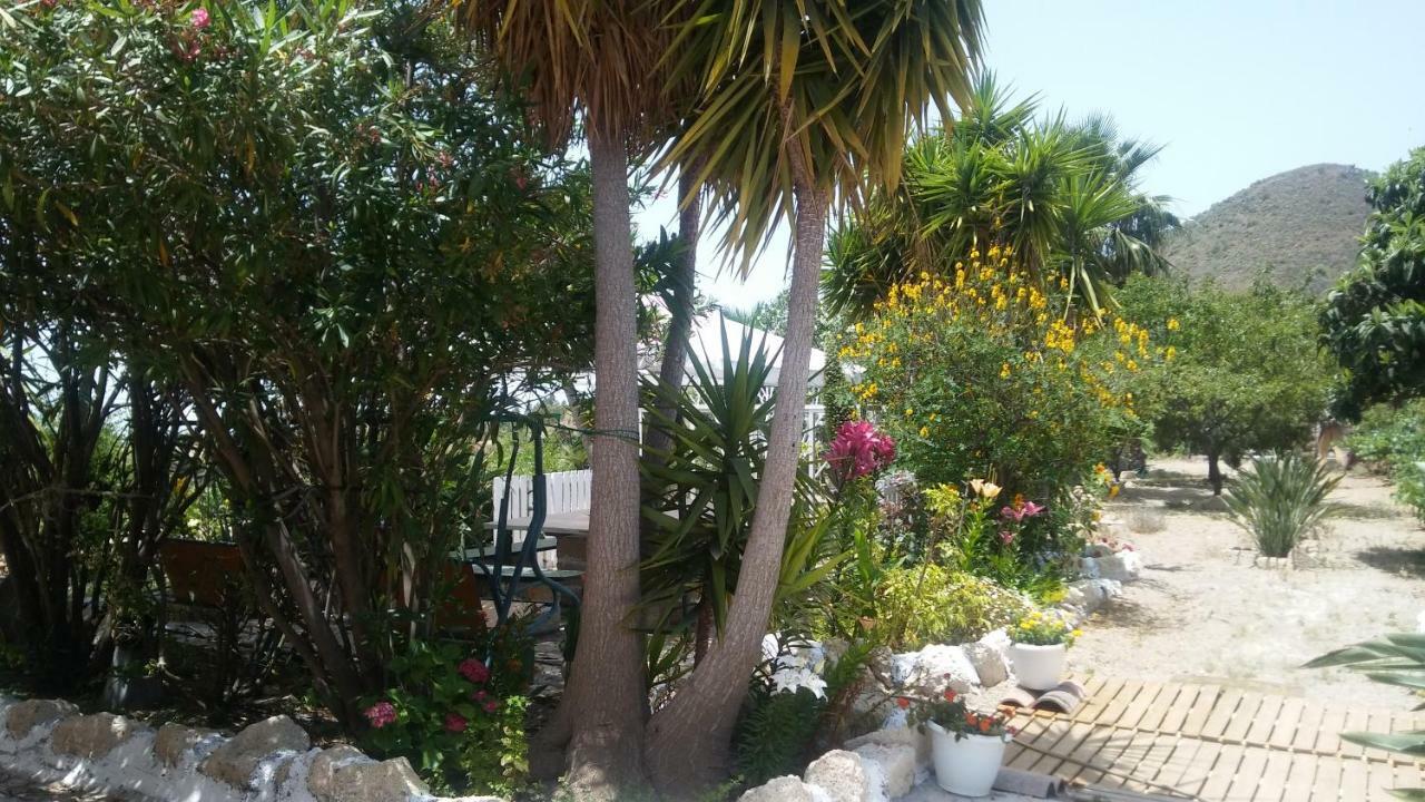 Finca Dulce Maikel Granadilla De Abona Exteriör bild