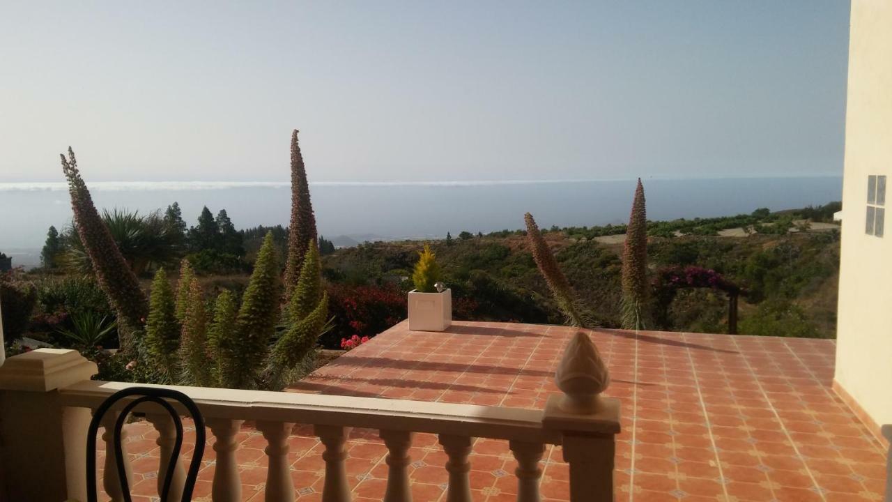 Finca Dulce Maikel Granadilla De Abona Exteriör bild