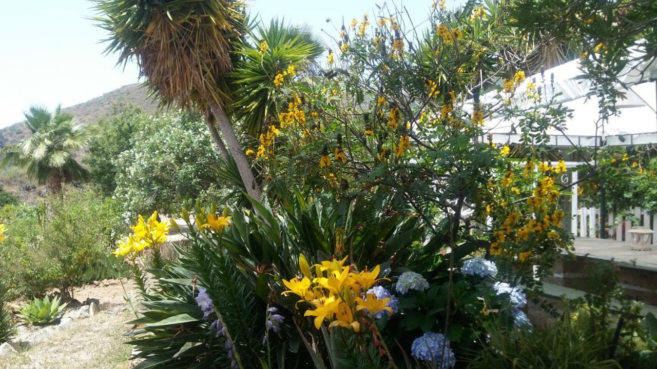 Finca Dulce Maikel Granadilla De Abona Exteriör bild